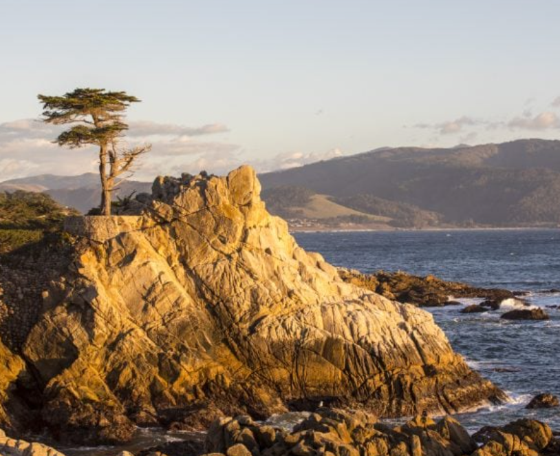 The Lone Cypress 17-Mile Drive